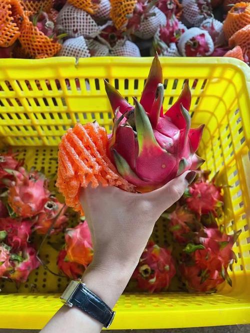 哪些食物不甜但含糖量高